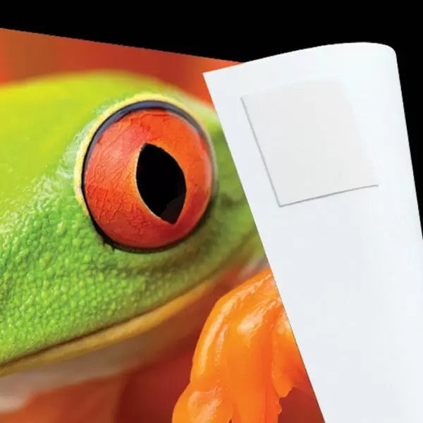 Photo Tabs – Light Impressions